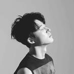 b.i